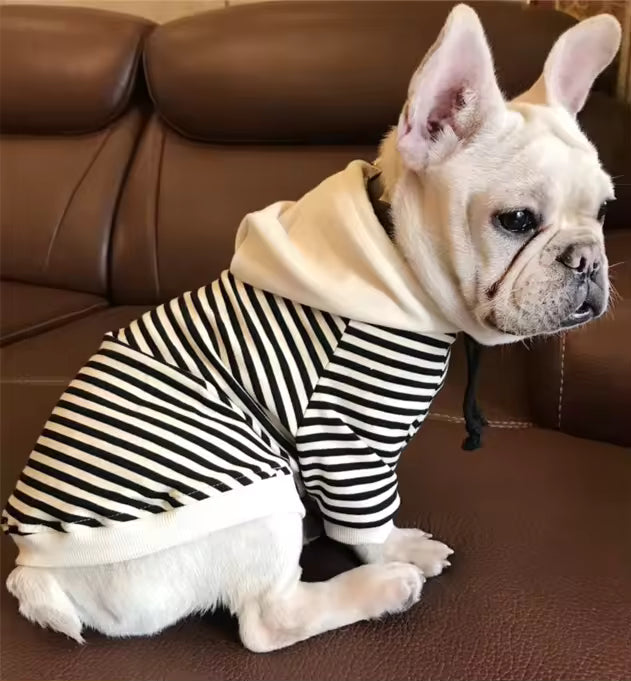 T-shirt Coordinata Cane e Padrone