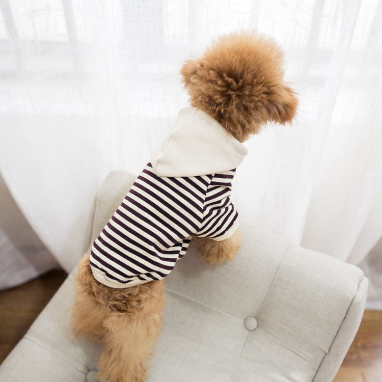 T-shirt Coordinata Cane e Padrone