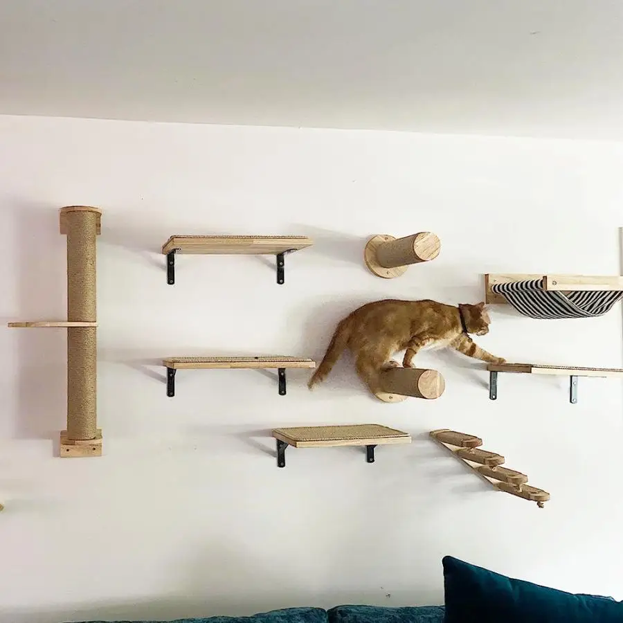 Mensola per Gatti con Percorso